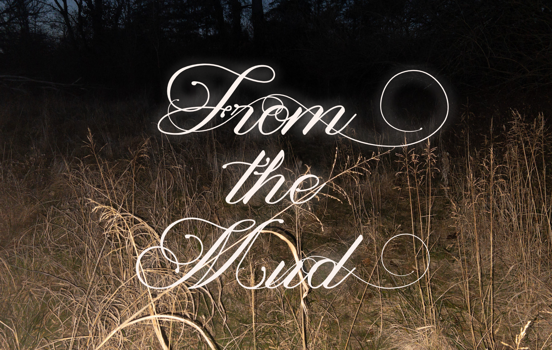from the mud