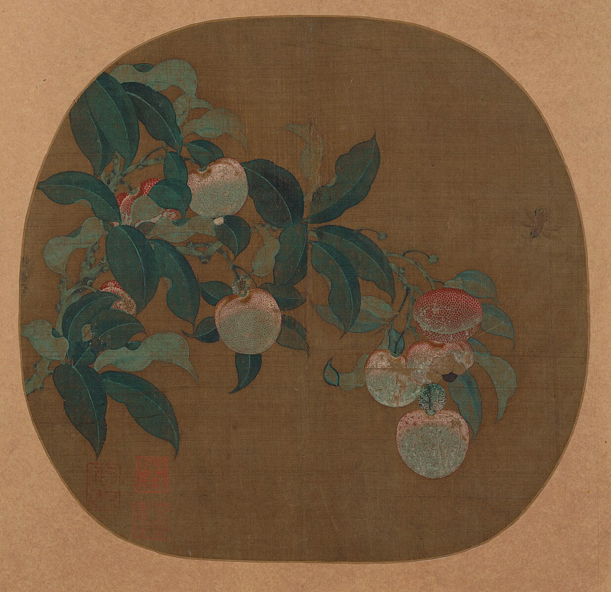 mirror flower