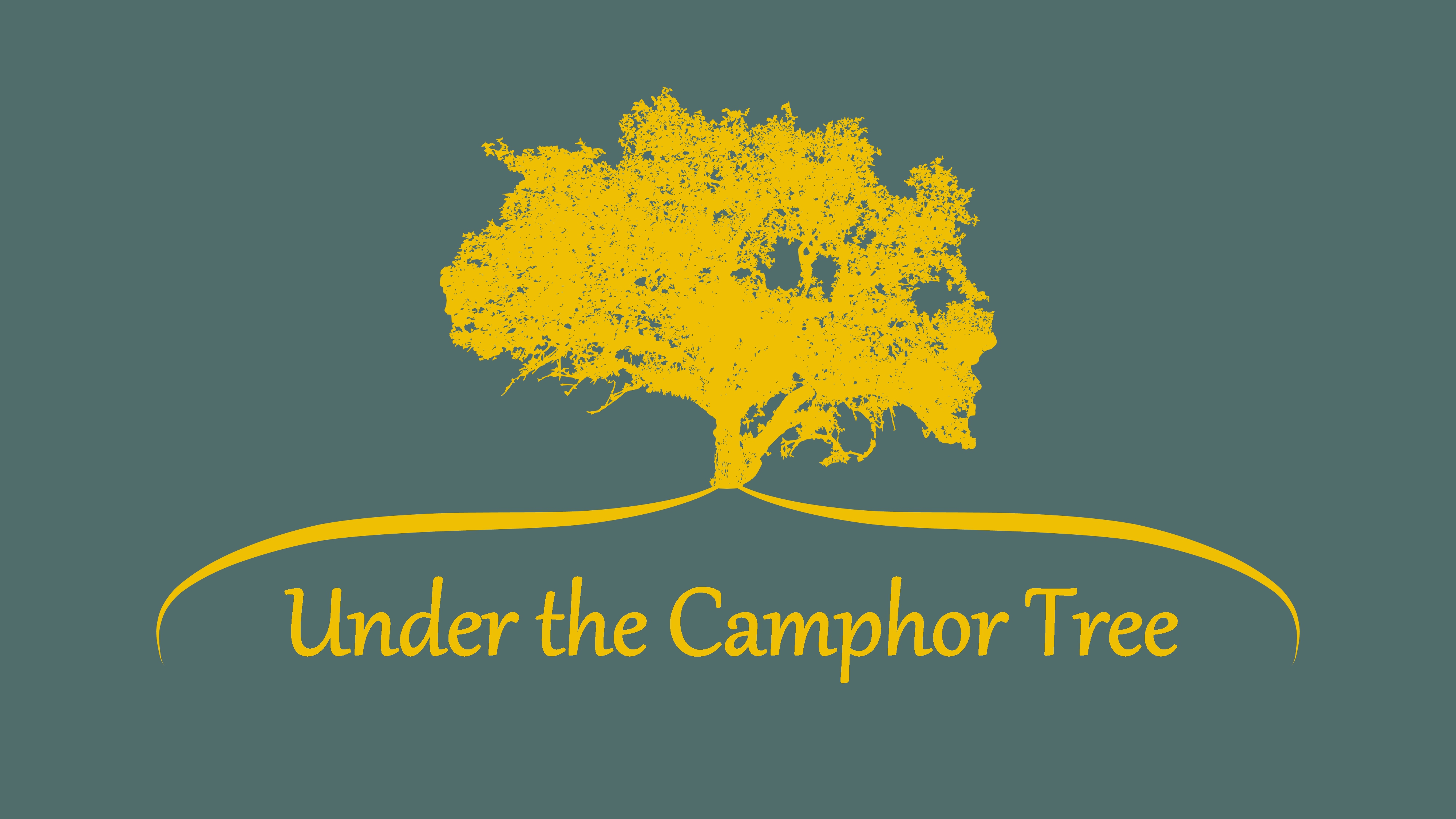 under the camphor tree