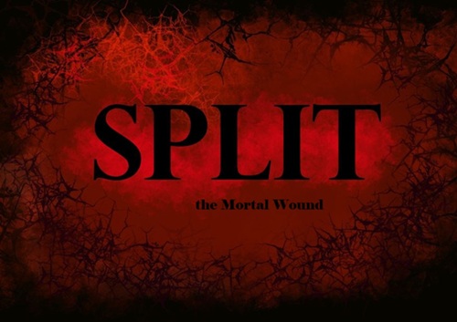 the split