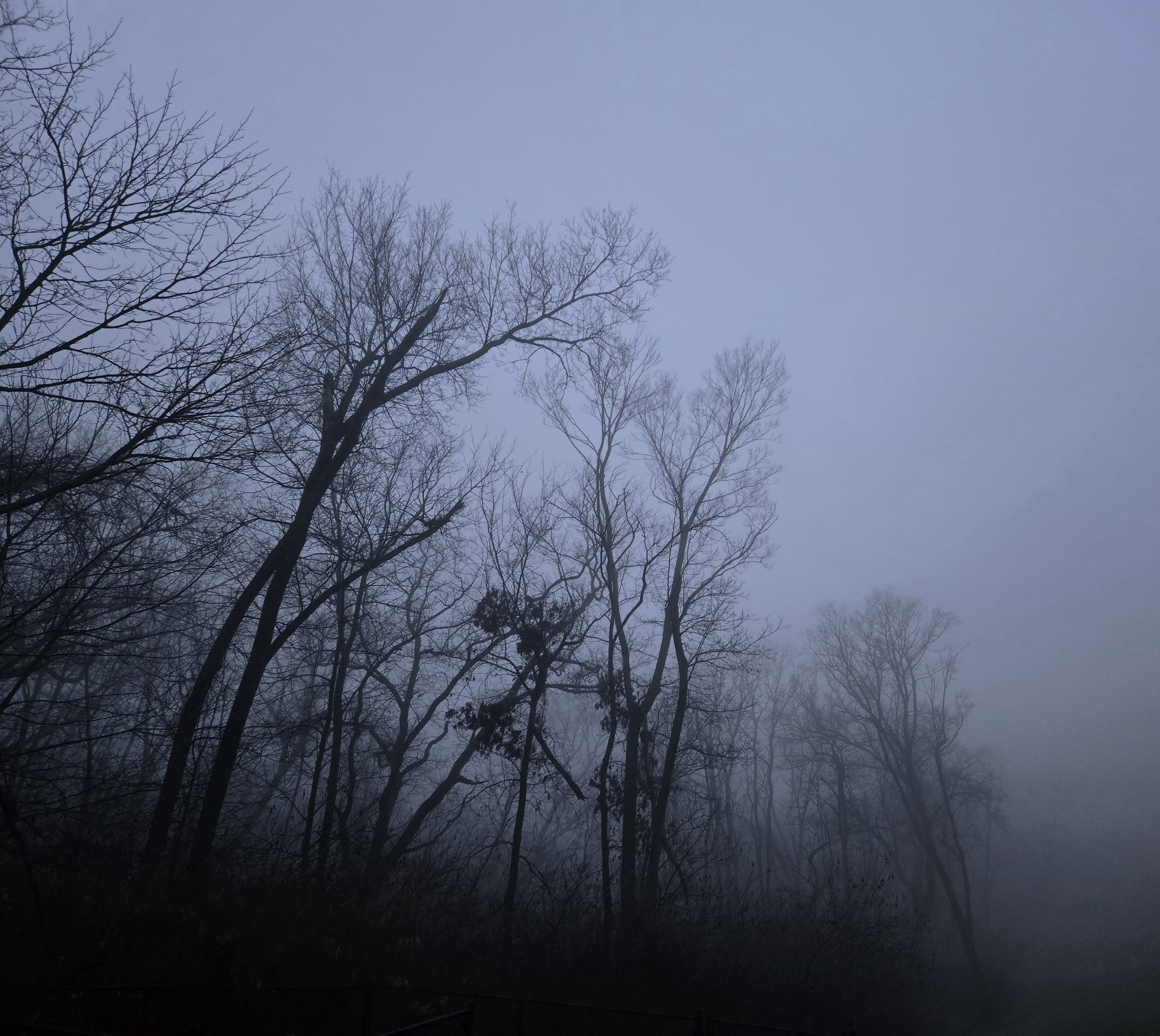 strange things happen here